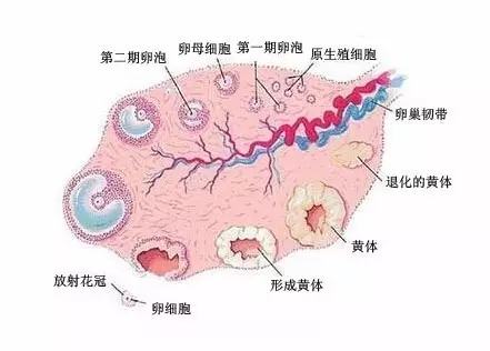 圖片1.jpg