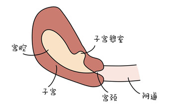 圖片2.jpg